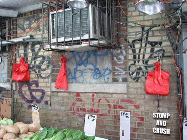 GRAFFITI NEW YORK IMAGES - RIBS GAK